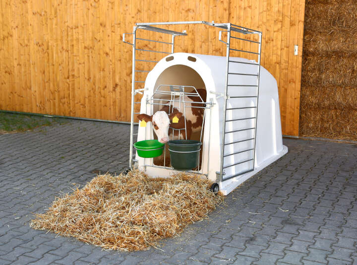 KERBL CalfHouse PE UV+ mit leichter Umzäunung
